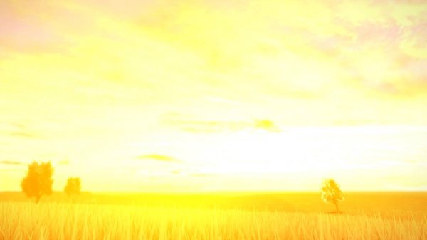 кидаем мячь