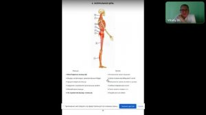 Вебинар "Миофасциальные цепи"  16 мая 2025 года