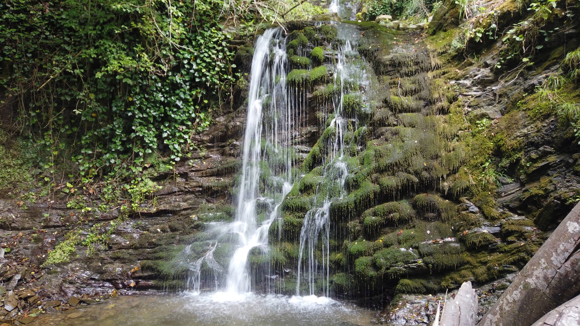 Путь в глубь Сочинского национального парка. Бурные воды реки Цусхвадж. смотреть онлайн