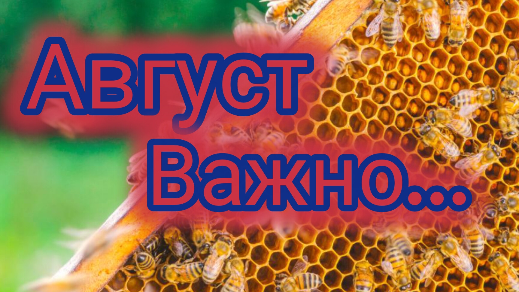 Август.Важно... смотреть онлайн