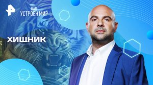 Хищник — Как устроен мир с Тимофеем Баженовым (13.08.2025)