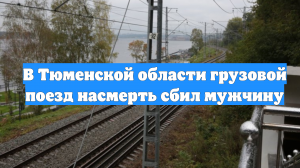 В Тюменской области грузовой поезд насмерть сбил мужчину