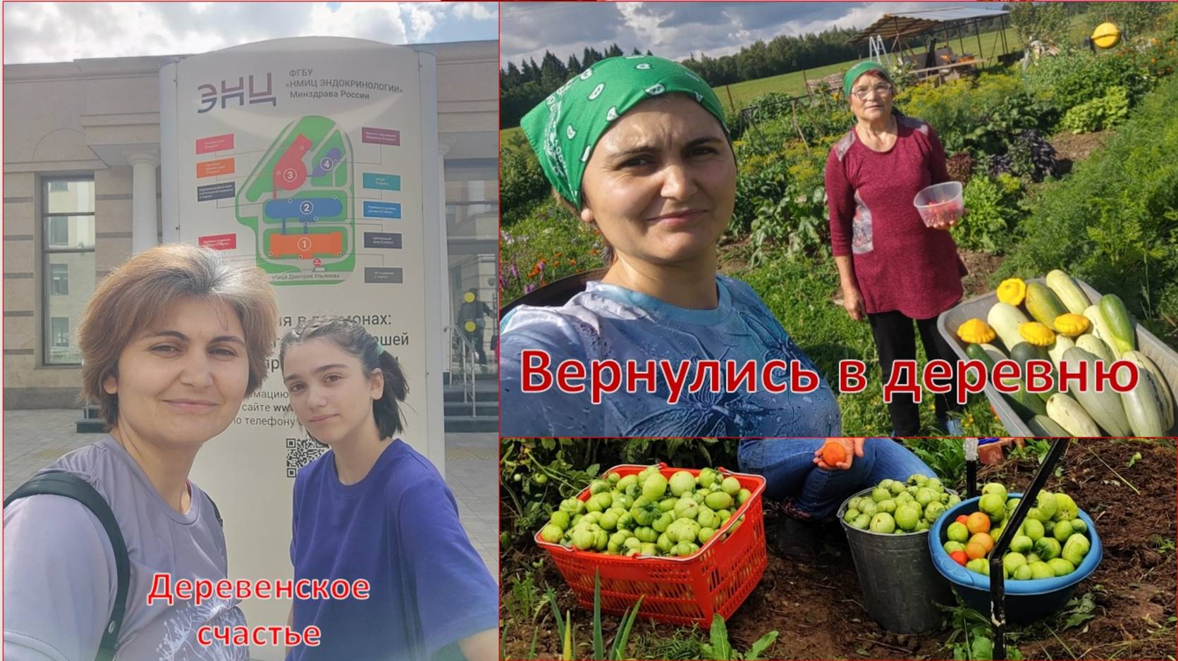 Что случилось в огороде пока нас не было? смотреть онлайн