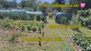 Переезд из Сибири на юг. /Купили дом на юге/ Минусы юга/ Дела домашние/