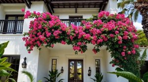 ЛУЧШИЕ ИДЕИ ДЛЯ ДИЗАЙНА САДА   2025 год ОТ АМЕРИКАНСКИХ САДОВОДОВ