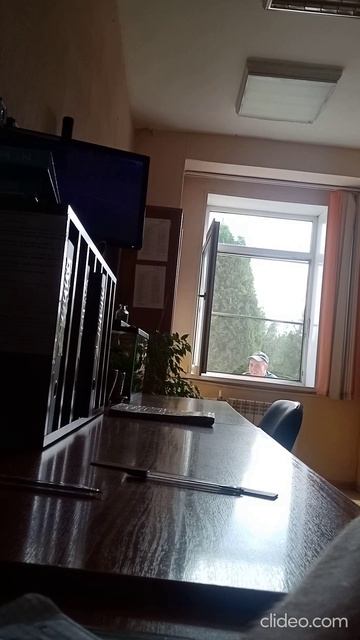 народный артист гей эстрады смотреть онлайн
