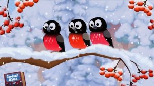 Дедушки и  бабушки