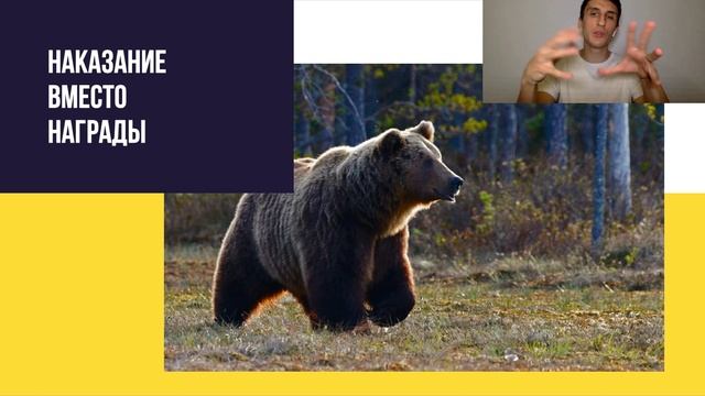 Как бросить пить? Полный курс. Урок №15