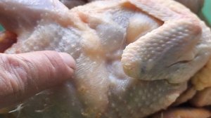 мёд качаем. перепелов убрали. быстрый рецепт огурчиков.