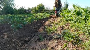 Мотоблок Boxbot MT-700 PRO 6+2