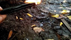 Онлайн ритуал Возмездие на убывающую луну 🌑от врагов, завистников и крадников