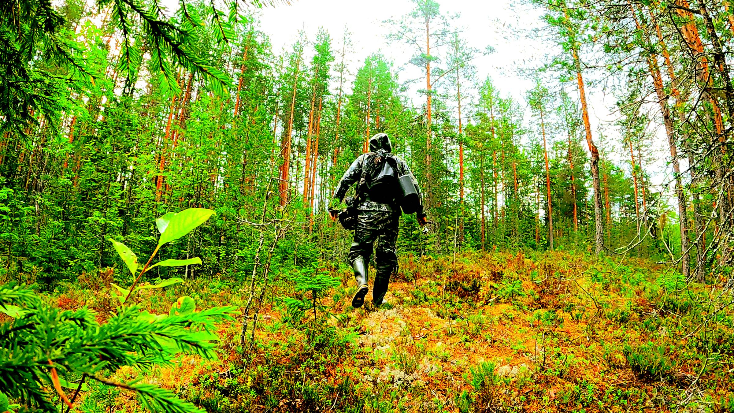 РЫБАК ЗАШЕЛ В ЛЕС НАШЕЛ ОЗЕРО И ОБАЛДЕЛ! РЫБАЛКА В АВГУСТЕ 2025. ПОЙМАЛ РЫБУ И ПРИГОТОВИЛ смотреть онлайн