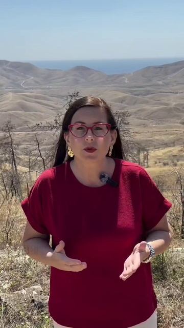 С 1 сентября 2025 года вступает в силу запрет на навязывание услуг! Как вернуть деньги?