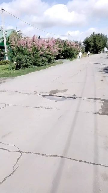 Прогулка по городу 🌞