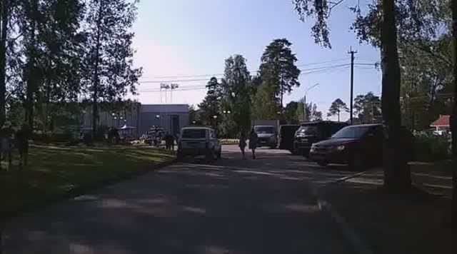 Россия Санкт-Петербург Бобочино Поляны Северное Побережье Финского Залива 29 июня лета 2024/7533