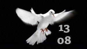 13.08.2025 - Прямая трансляция ст.Елизаветинская