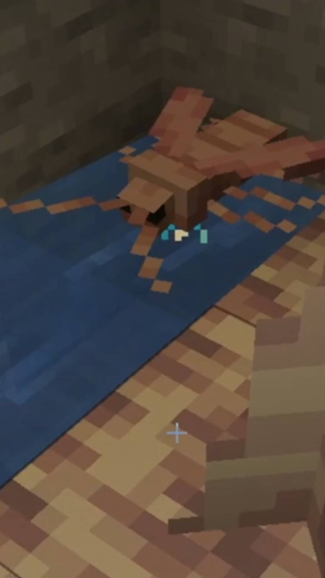 Купание Таракана Домашнего обыкновенного в Майнкрафт #08 #SHORTS смотреть онлайн