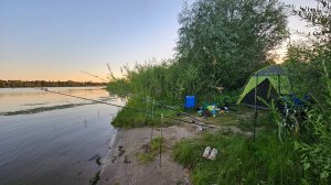 И снова река Ахтуба. Жареная рыбка на природе.