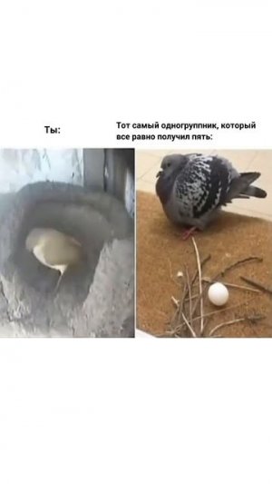 У всех есть такой одногруппник