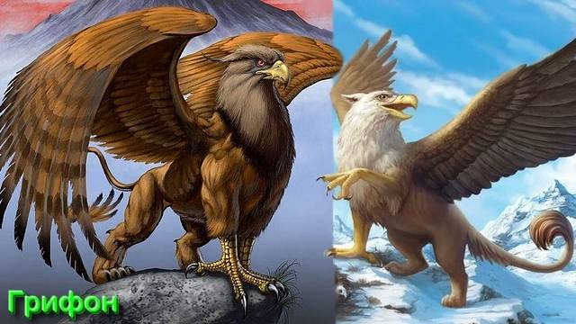 Ответы на Вопросы по Эзотерике от 13.08.25 Часть 4 смотреть онлайн