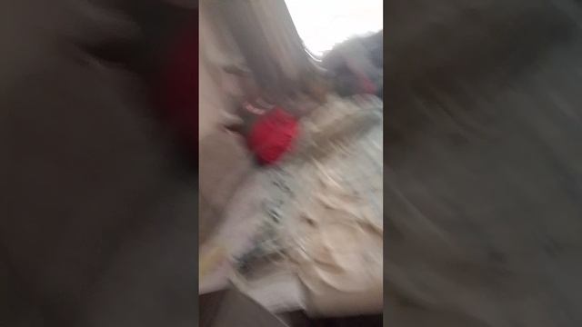 доброе утро смотреть онлайн