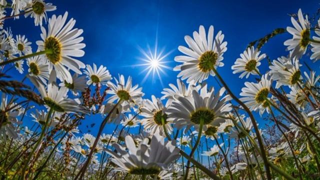 Позитивные чистые звуки пробуждения. Слушай пока готовишь завтрак