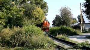 Тепловозы ТЭМ18ДМ-1198 и ТЭМ2-5136