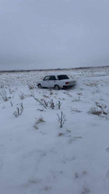 Сосед узнал где грибов нарвал 2 ведра )))