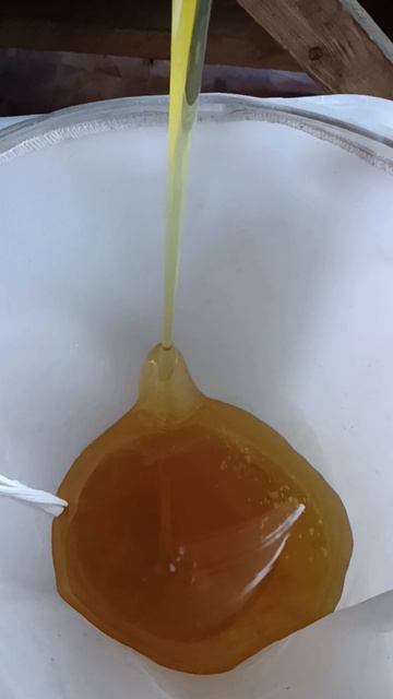 Качаем мёд смотреть онлайн