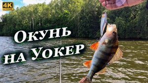 Онунь на Уокер, а Судаки козлы