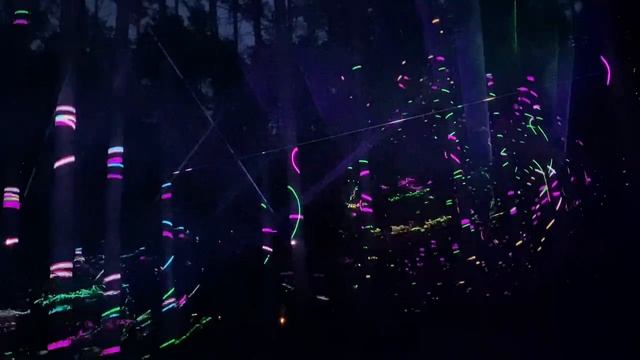 1-3.08.2025 парадигма (сергиев посад) paradigma russian hitech festival смотреть онлайн