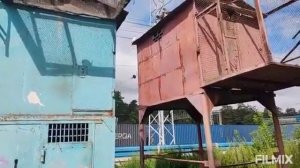 13.08.2025г Спасение голубятни