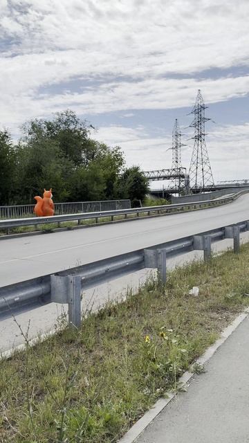 История начинается🐿️ #клиникадоктораманнанова