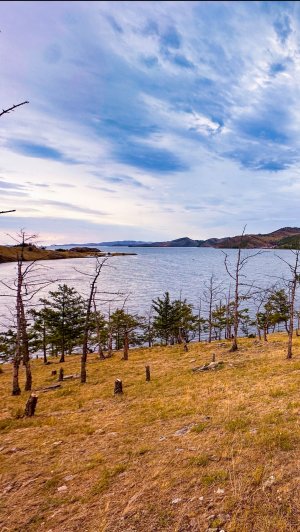 Земельный участок, Иркутская Область, Ольхонский р-н, м.Кулура, 1 линия 75 м. до берега