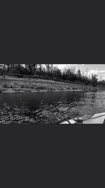 Неудачные моменты / ЛЕТО, ЖАРА-Самое время ловить голавля смотреть онлайн