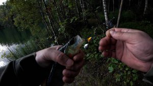 Ловля на Тейл-спиннер UF-Studio Hurricane Zetrix Orsa Nero ZONS-772ML 4 - 17 гр