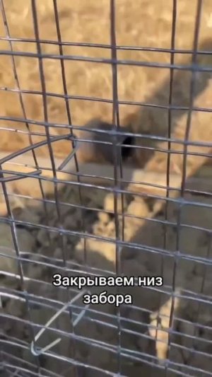 Как можно аккуратно закрыть низ забора.