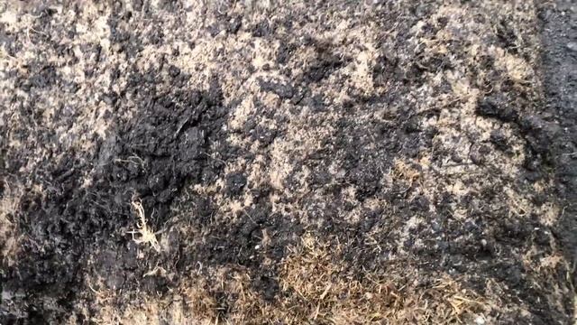 500 тысяч за газон на ветер!? Смотри быстрее тут почему!