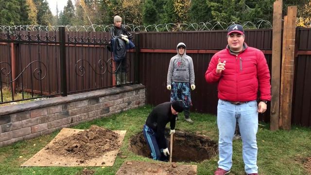 Крупномеры: посадка по технологии? О чём не забыть, смотри тут!