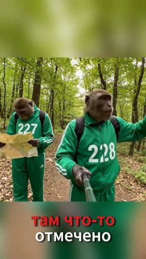 Обезьяна Нейросеть в Игре Кальмара