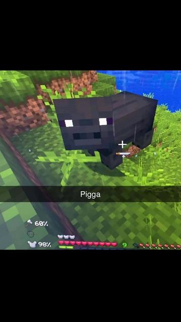Pigga