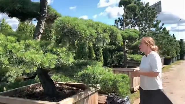 Секреты правильного выбора растений для сада.Экспертное мнение.☝️ смотреть онлайн