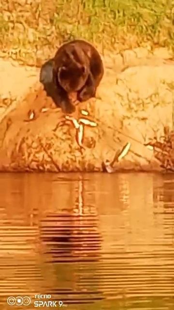 13-08-2025 смотреть онлайн