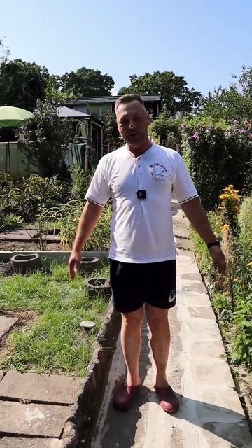 Автосервис Веста Берлин