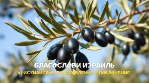 Благослови Израиль. Христианское прославление и поклонение