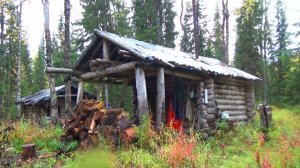 Жизнь в тайге. Грибалка. Жаренная картошка с грибами. Кум ушёл на рыбалку и пропал. #4