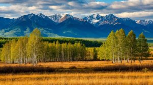 Тактические свойства местности