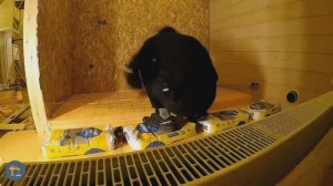 Душевой поддон своими руками, пошаговая инструкция с объяснением