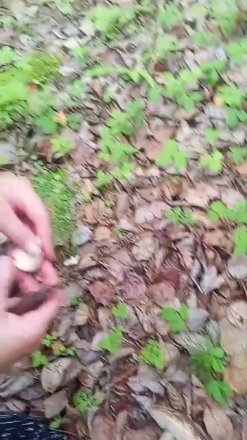 тихая охота в Забайкалье смотреть онлайн