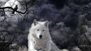 Неуслышанная песня